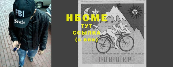 хмурый Абаза