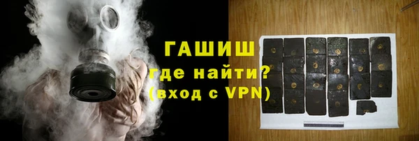 хмурый Абаза