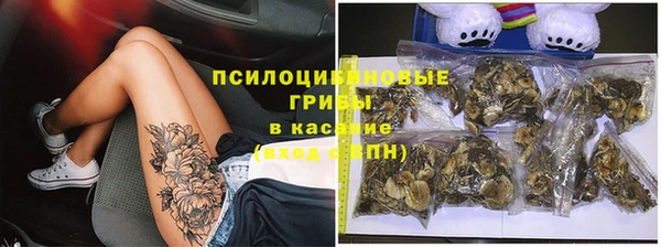 хмурый Абаза