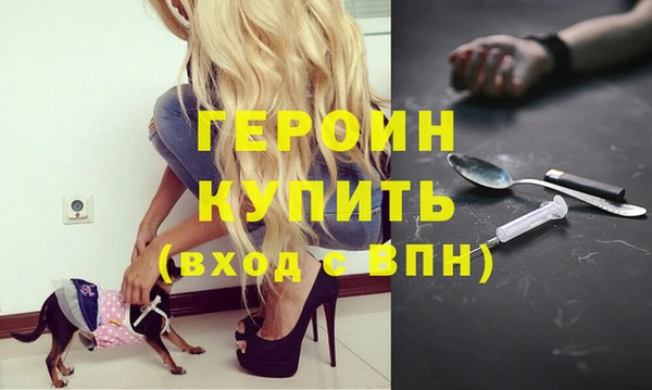 хмурый Абаза