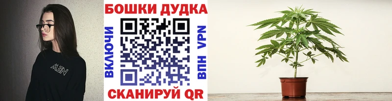 даркнет сайт  Электросталь  МАРИХУАНА OG Kush 